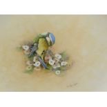 Christopher Hughes (b.1955). Blue tit on a blossom branch, watercolour, signed, 20cm x 27cm.