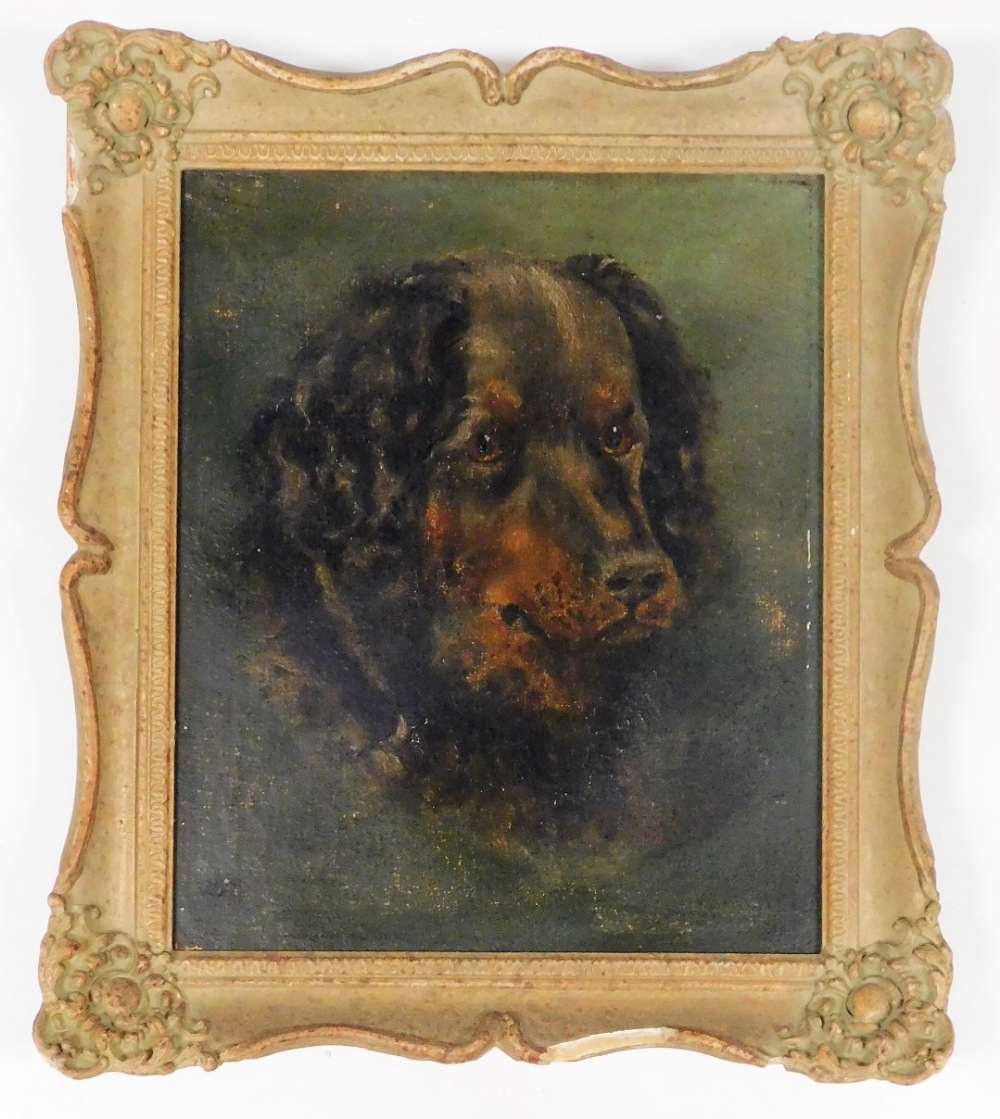 20thC School. Study of a dog, oil on canvas, indistinctly signed and dated, 30cm x 24cm. - Image 2 of 3