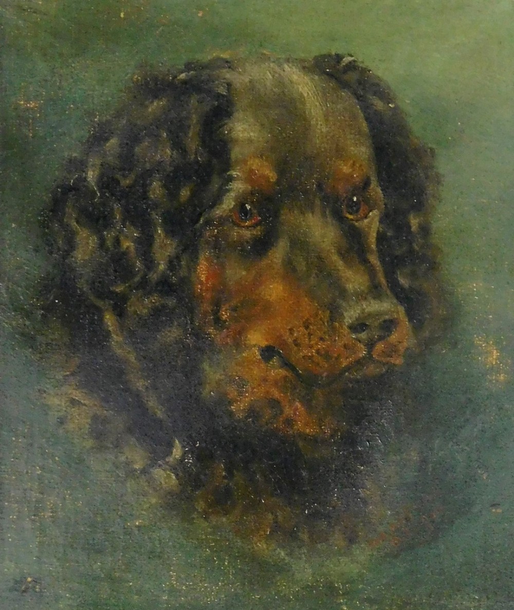 20thC School. Study of a dog, oil on canvas, indistinctly signed and dated, 30cm x 24cm.