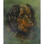 20thC School. Study of a dog, oil on canvas, indistinctly signed and dated, 30cm x 24cm.