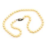 A cultured pearl necklace, fifty six pearls of 6.5mm diameter average to a clasp stamped silver, 38c