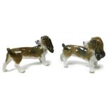 A pair of Lladro Porcelain figures of Basset Hounds, modelled standing looking back towards their ta