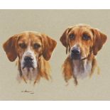 Graham Isom (b.1945). Study of heads of Old English Fox Hounds, pastel on paper, 36.5cm x 43cm.