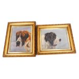 Irene L. Hayes (early 20thC School). Study of a St Bernard dog, oil on board, unsigned, 46cm x 34cm,