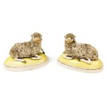 A pair of late 19thC Staffordshire pottery figures of recumbent sheep, raised on oval bases, 12cm wi