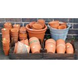 A group of terracotta plant pots, various sizes, the largest 12cm high.
