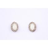 + VAT Brand New Pair Pearl Earrings