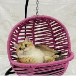 + VAT Brand New SRP £49.99 The Chelsea Garden Co Special Edition Pet Swing Chair/Bed - Pink - Ideal