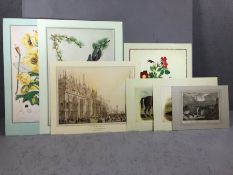 Collection of unframed prints including three botanical prints, two views of Venice after William