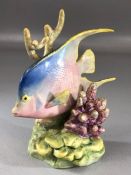 Royal Worcester Ronald van Ruyckevelt model of a Blue Angel tropical fish, model no. 3574 approx