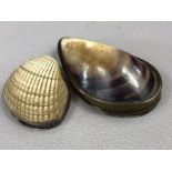 Two shell snuff boxes possibly Georgian one with silver mounts the other with Brass mounts