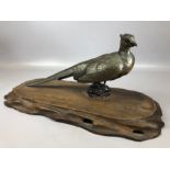 Cast Bronze pheasant on wooden plinth with applied copper and painted detailing, pheasant approx