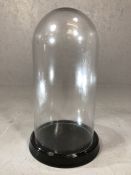 Large vintage glass display dome on wooden base, approx 52cm in height