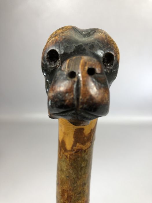 Carved wooden walking stick with head of a boxer or bulldog to handle - Image 2 of 5