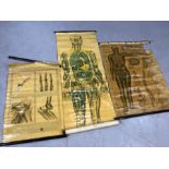 Collection of three vintage anatomical prints for the St John's Ambulance (A/F)