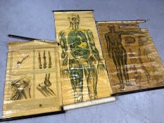 Collection of three vintage anatomical prints for the St John's Ambulance (A/F)