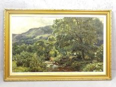 Duncan Cameron (1837-1916) oil on canvas of a woodland scene with mountains in the background.