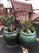 Pair of green ceramic planters with free fuschias