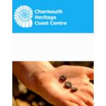 Charmouth Heritage Coast Centre - Fossil Hunting Walk: Voucher for two adults and two children to