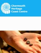 Charmouth Heritage Coast Centre - Fossil Hunting Walk: Voucher for two adults and two children to