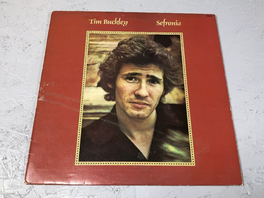 15 AMERICAN SINGER SONGWRITER / FOLK LPs inc. Tim Buckley, Joni Mitchell, Melanie, Laura Nyro, Ry - Image 7 of 16