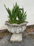 Concrete garden urn / planter