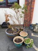 Five Garden planters and plant frame