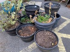 Large collection of lightweight plastic half-barrel styled pots etc