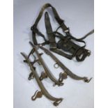 Collection of shire horse leathers and yokes