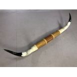 Set of decorative wall-mounted buffalo horns, approx 145cm in length