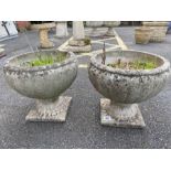 Two concrete garden planters, approx 34cm tall