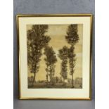 Study of trees in a landscape, signed or stamped lower right 'RR', approx 55cm x 47cm