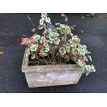 Rectangular garden planter adorned with otters, approx 49cm x 30cm x 26cm