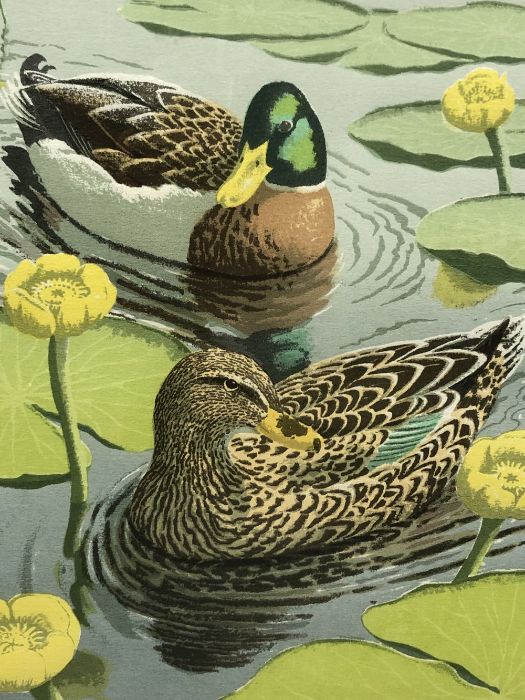 JOHN TENNENT 'Mallard among Yellow Water-Lilies', signed limited edition print, 1986, 23/80, - Image 3 of 3