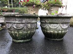 Pair of circular concrete pots