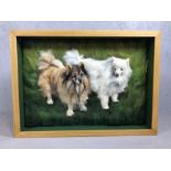 Three dimensional portrait of two Pomeranian dogs, in box frame, approx 69cm x 50cm x 9cm deep