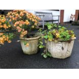 Two octagonal garden planters, one with chrysanthemums, one with geraniums