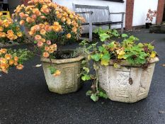 Two octagonal garden planters, one with chrysanthemums, one with geraniums