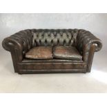 Chesterfield sofa, brown leather button back on castors, as found, approx 160cm wide