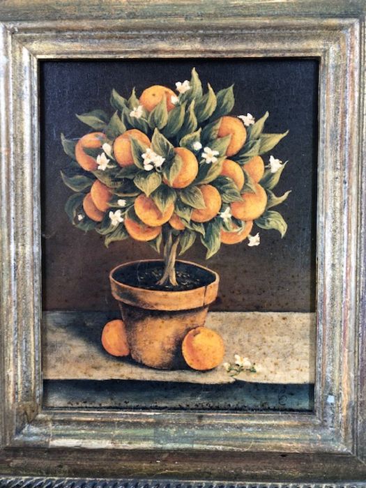 TROWBRIDGE GALLERY PRINTS, pair of citrus fruit tree prints, wooden and gilt frames with gallery - Image 3 of 4