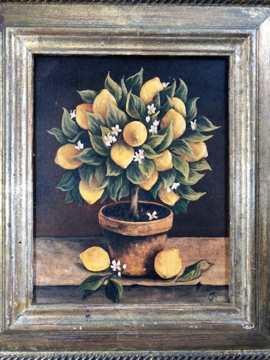 TROWBRIDGE GALLERY PRINTS, pair of citrus fruit tree prints, wooden and gilt frames with gallery - Image 2 of 4