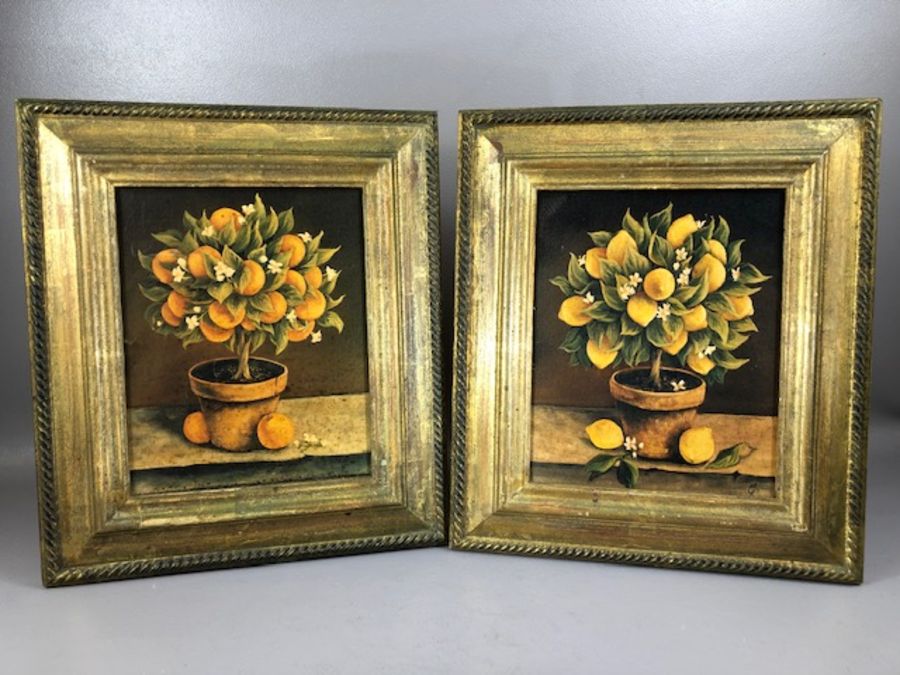 TROWBRIDGE GALLERY PRINTS, pair of citrus fruit tree prints, wooden and gilt frames with gallery