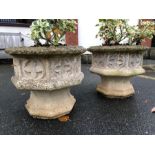 Pair of octagonal garden pots containing geraniums