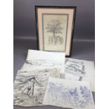 Collection of ink sketches, including one figure, unframed, along with one framed ink drawing of a