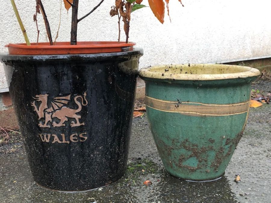 Two ceramic garden pots, one for Wales with the Welsh dragon - Image 2 of 3