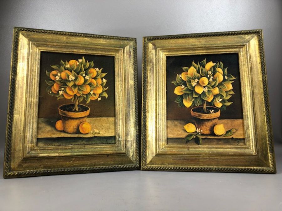 TROWBRIDGE GALLERY PRINTS, pair of citrus fruit tree prints, wooden and gilt frames with gallery - Image 4 of 4