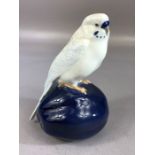 Royal Copenhagen porcelain model of budgerigar, with makers stamp to base and numbered 4682,