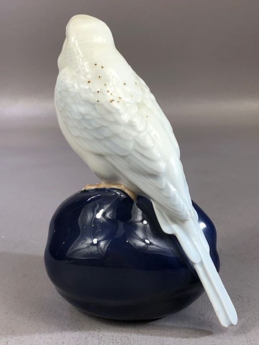 Royal Copenhagen porcelain model of budgerigar, with makers stamp to base and numbered 4682, - Image 4 of 6