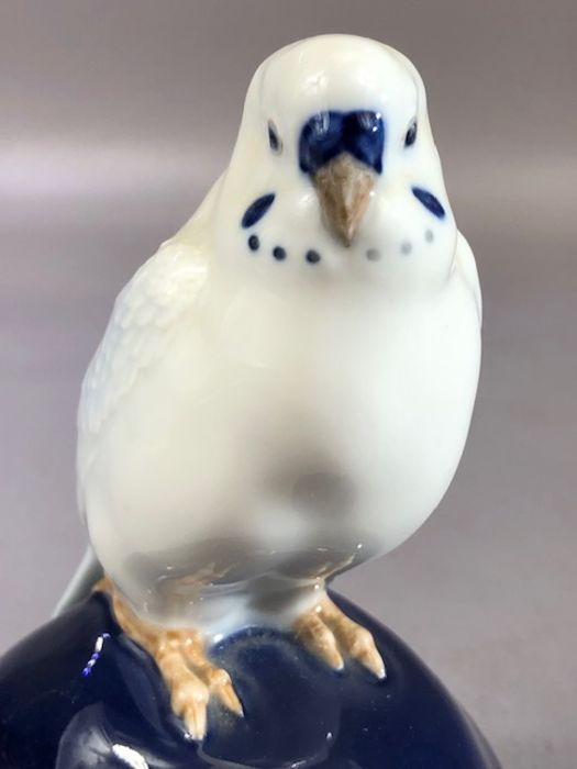 Royal Copenhagen porcelain model of budgerigar, with makers stamp to base and numbered 4682, - Image 5 of 6