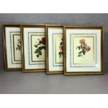 Collection of four framed limited edition botanical prints by The Victoria And Albert Museum, 'The